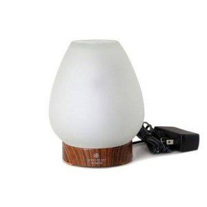 Essential Oil Diffusers Set Of 2